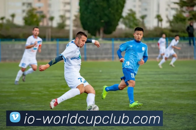 世俱杯投注平台生态图